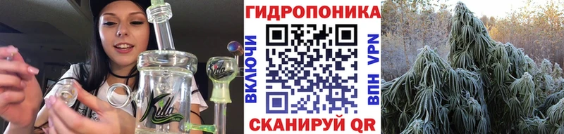 Бошки Шишки THC 21%  Купить закладки  Приморско-Ахтарск 